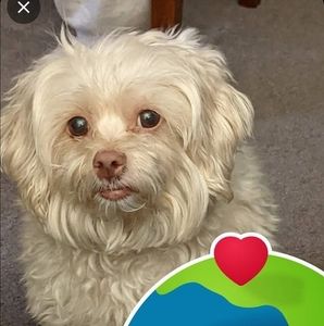 Meet your Posher, Janet